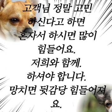 보안과 비밀유지를 가장 중요시 생각합니다.